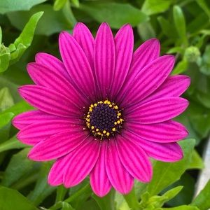 Meet your Posher, Sunhee